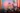Content Creation in Social Media 2025